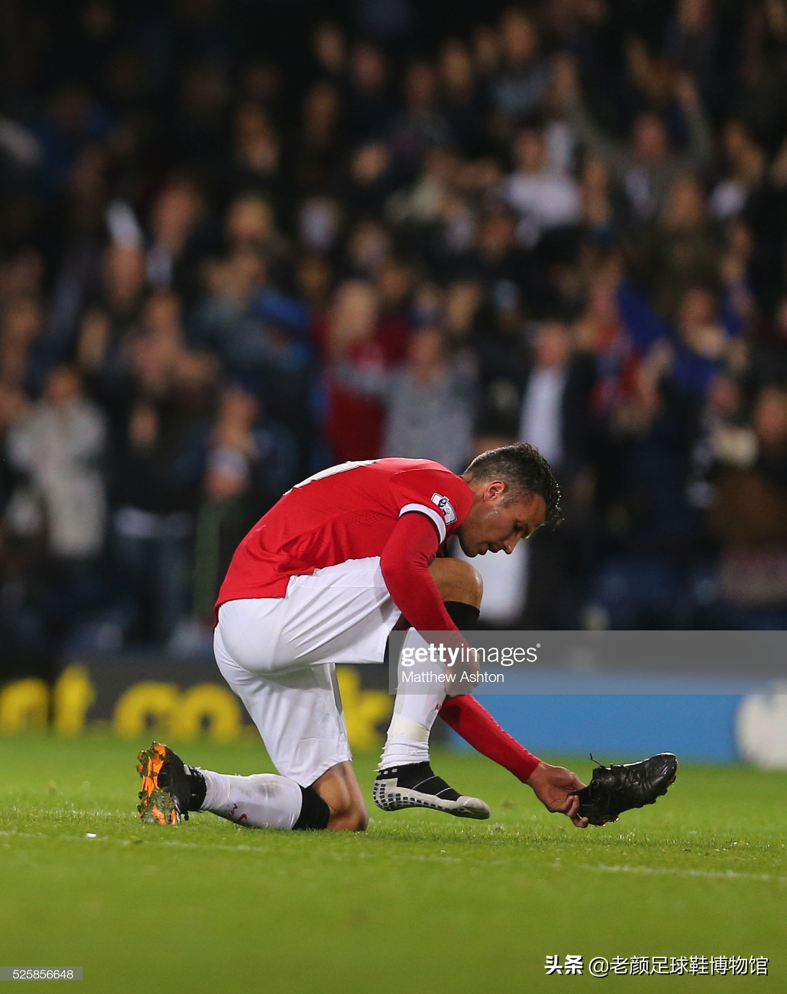 专业分析认 专业分析认